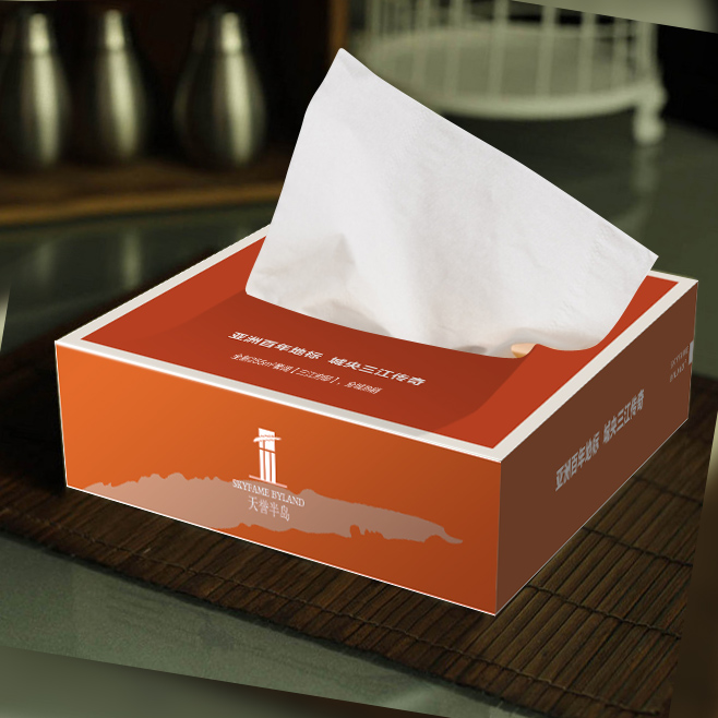 纸巾盒.jpg